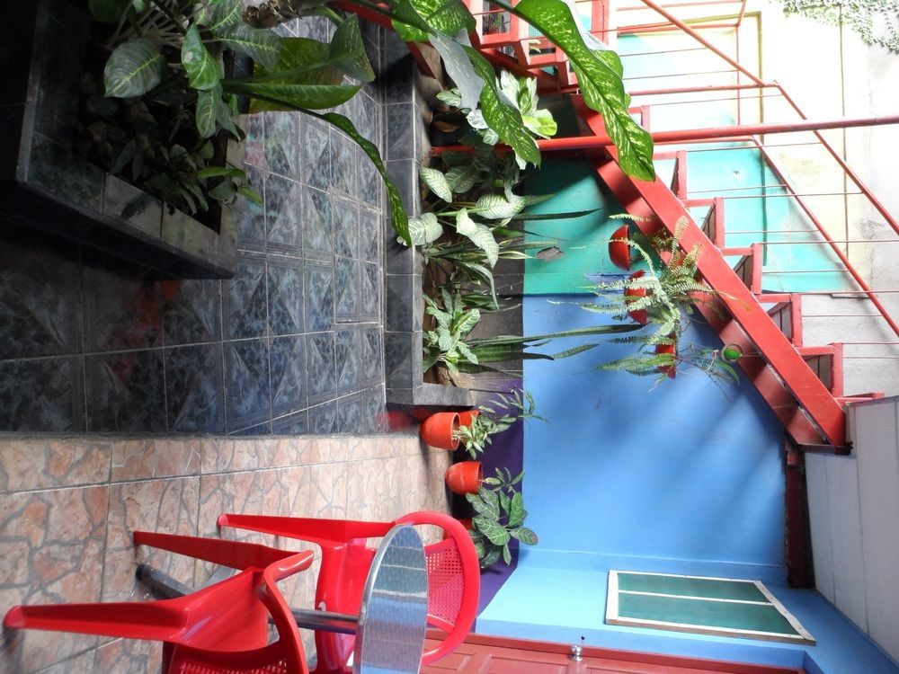 Hostal Nicaragua Guest House 马那瓜湖 外观 照片