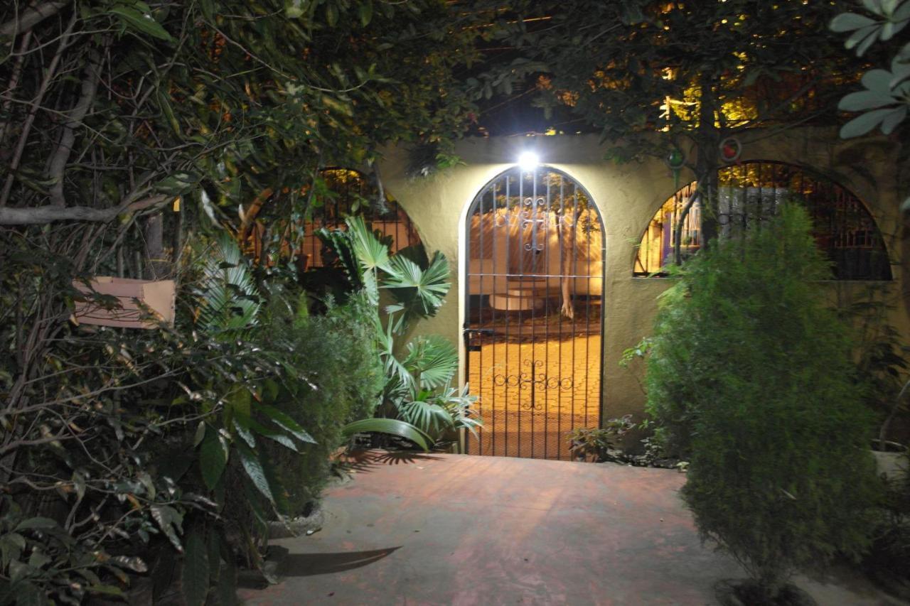 Hostal Nicaragua Guest House 马那瓜湖 外观 照片